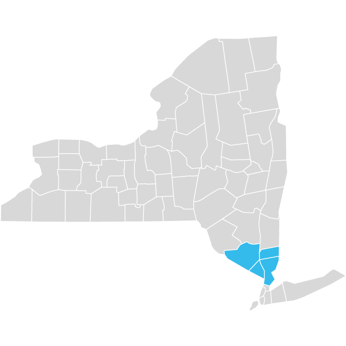 map of New York with some southern counties shaded blue
